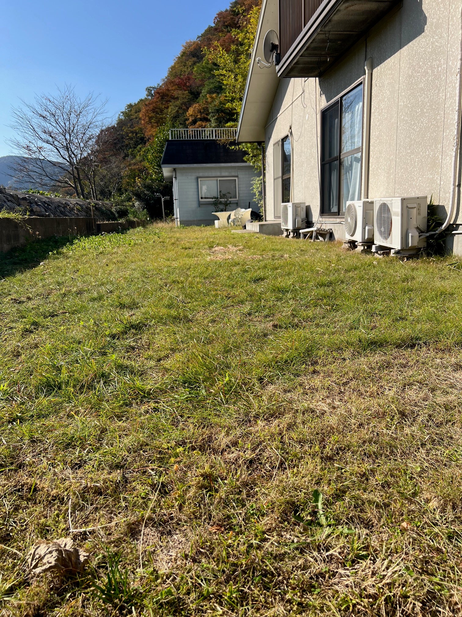 ご予約はコチラから☟の写真