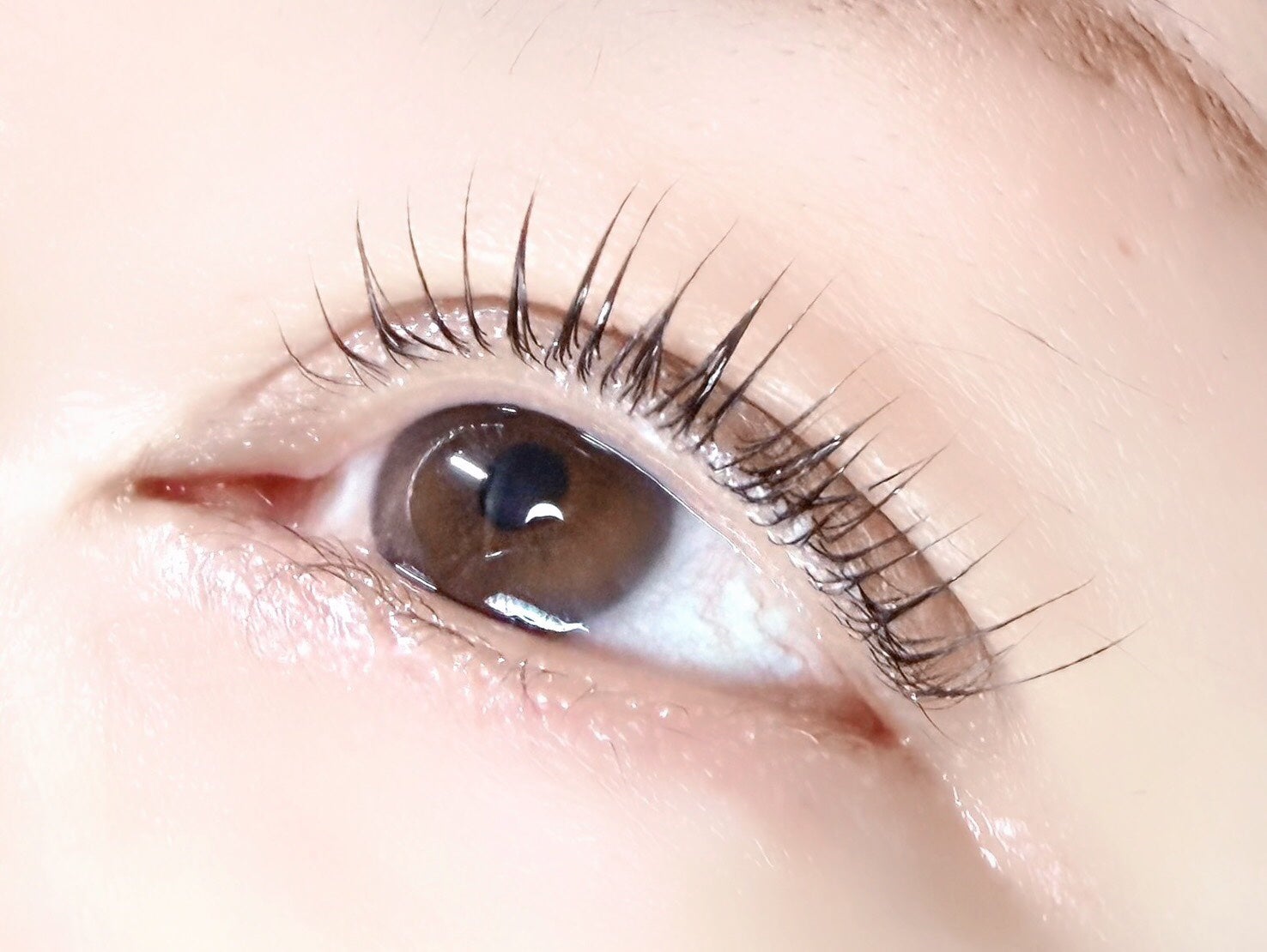 eyelash salon Realiserのラッシュリフトorデザインパーマの写真