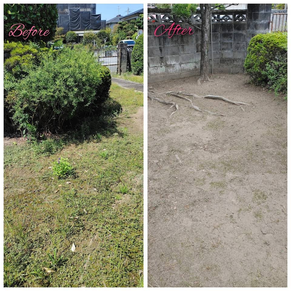 便利屋ウッドビレッジの草刈り・庭木剪定の写真