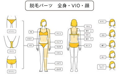 脱毛の名門　クライマックスの部位交換自由の業界初システムMS³【お好きな2部位】の写真