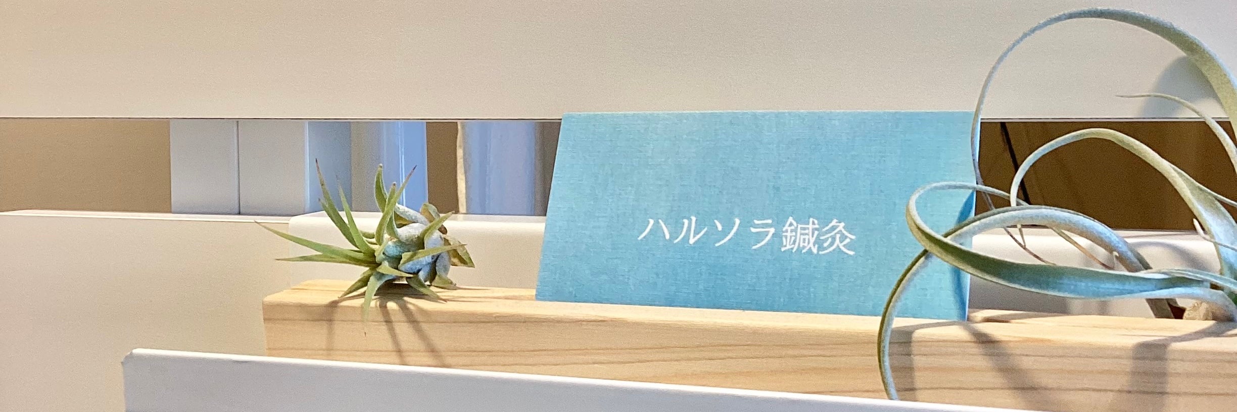 ハルソラ鍼灸_1枚目