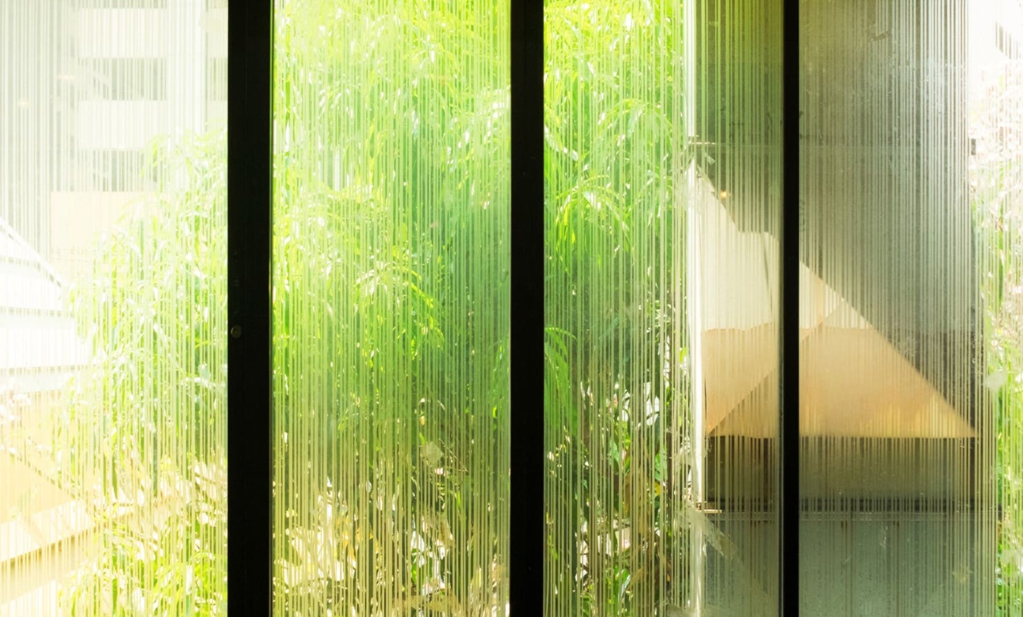 よかまどの紹介写真_1枚目