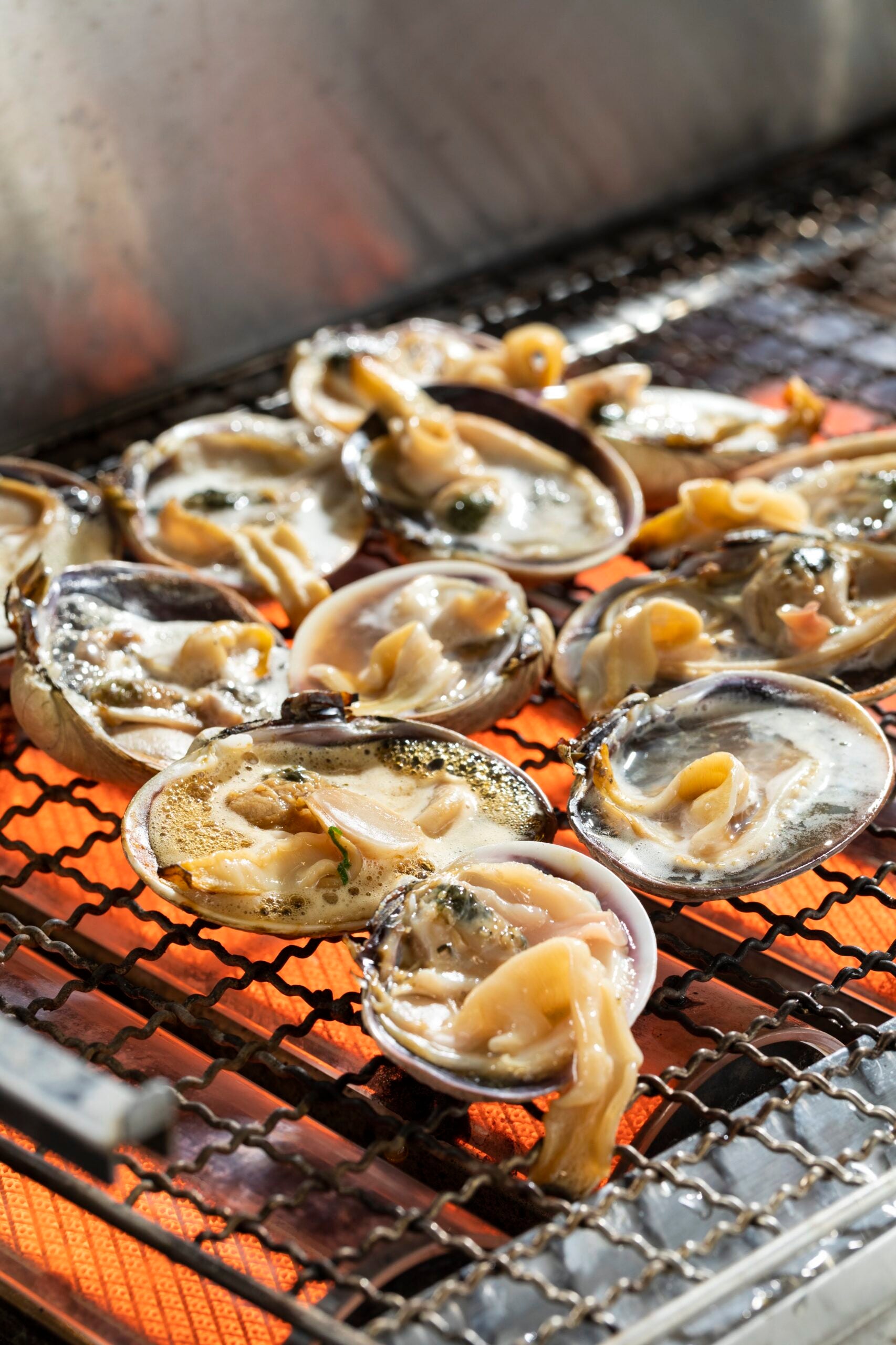 魚太郎ラグーナ蒲郡店 浜焼きバーベキューの大あさりの写真