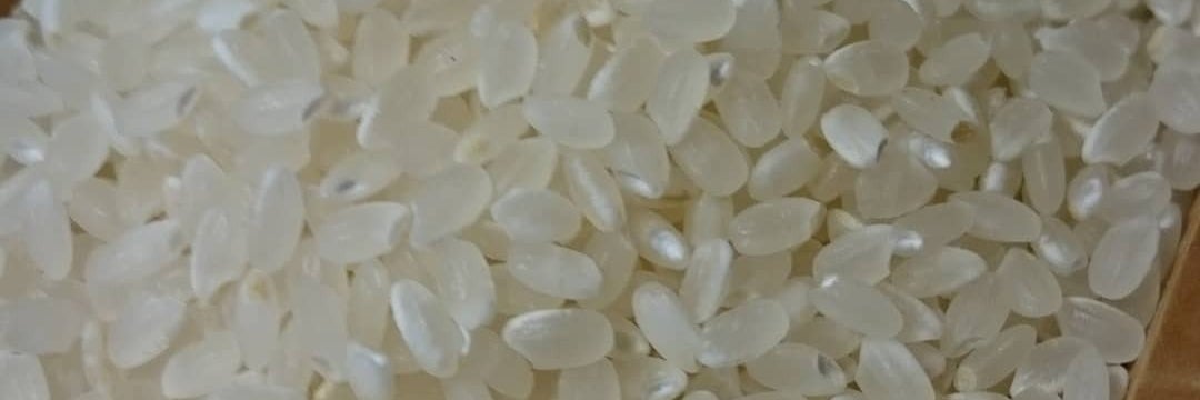 米農家ノハラ