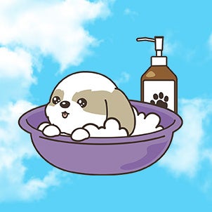 出張犬のシャンプー屋さん