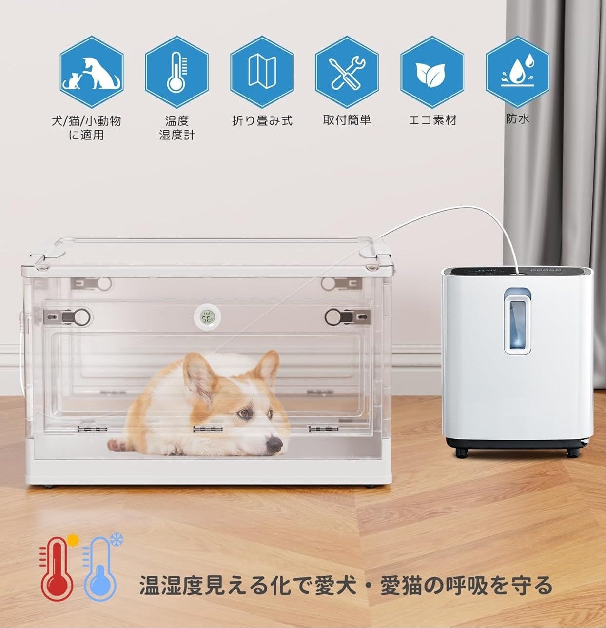水素サロンK3Sの【初回限定】ペット水素体験（３０分）　の写真