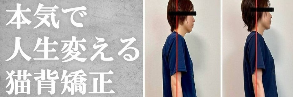整体シームル