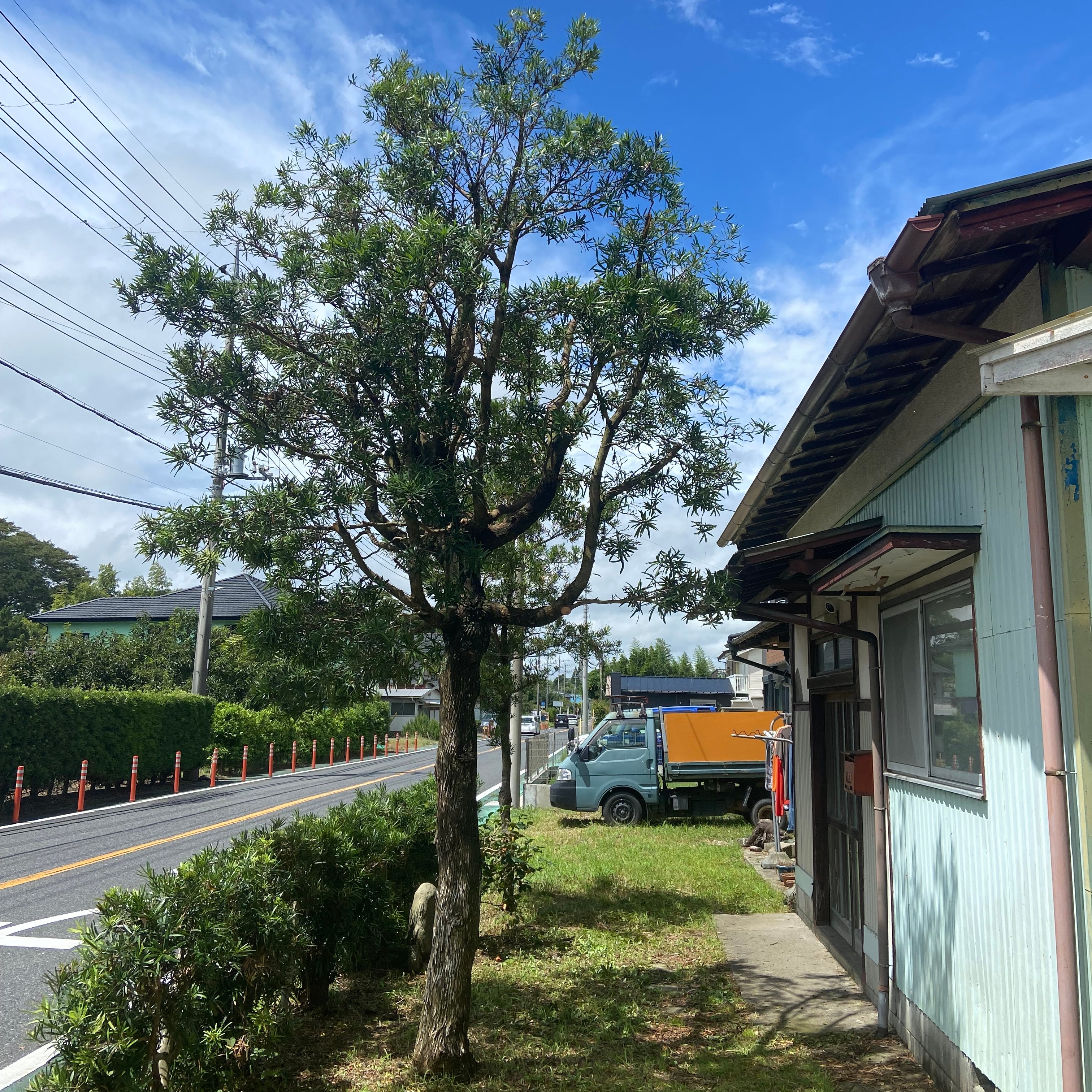 結造園_3枚目