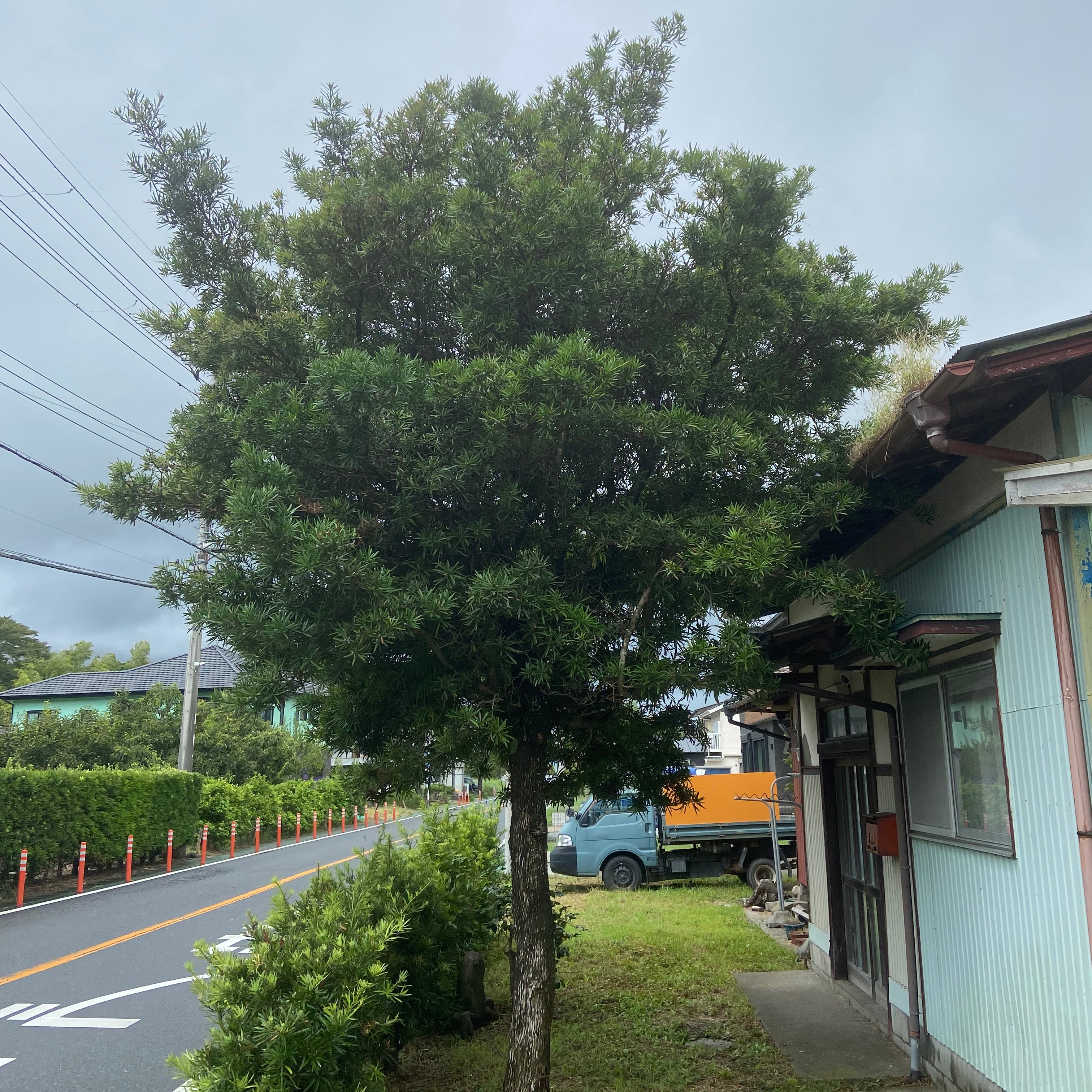 結造園_2枚目