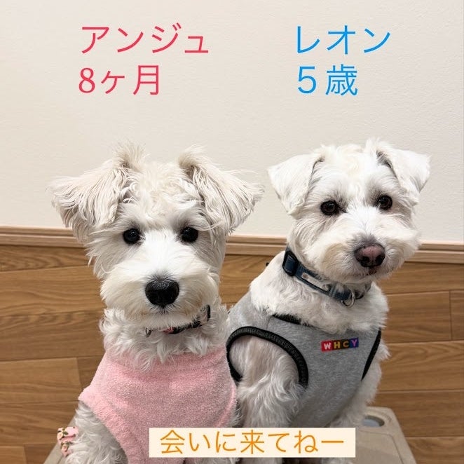 ＆Leon等々力_2枚目