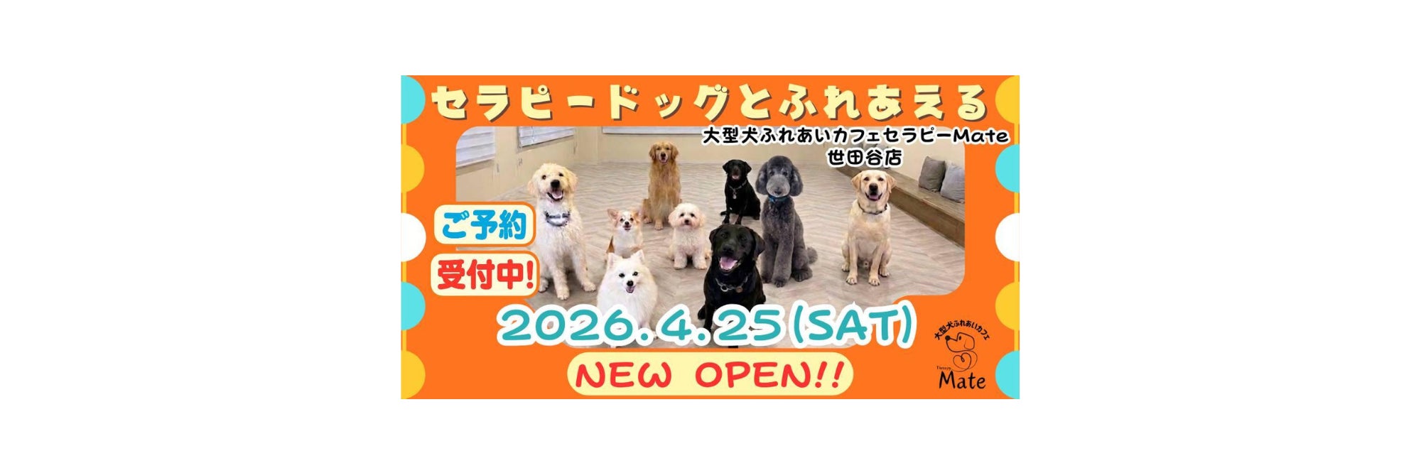 大型犬ふれあいカフェセラピーMate 世田谷店