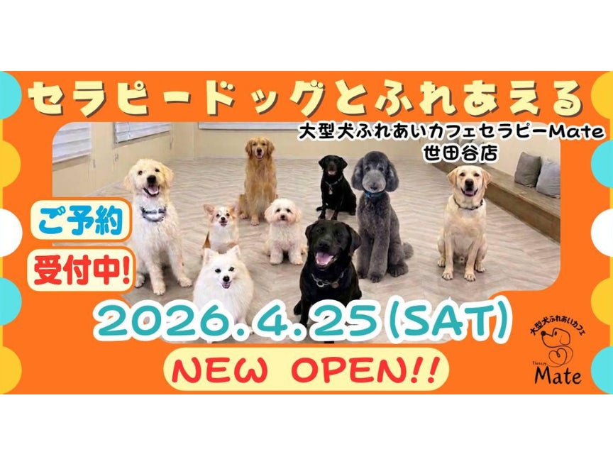 大型犬ふれあいカフェセラピーMate 世田谷店_2枚目