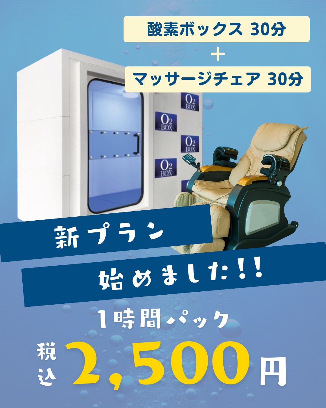 新プラン始めました!の写真
