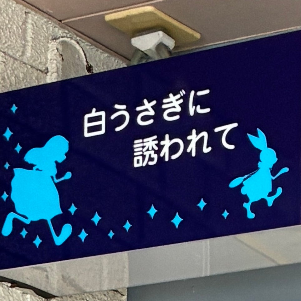 白うさぎに誘われて_1枚目