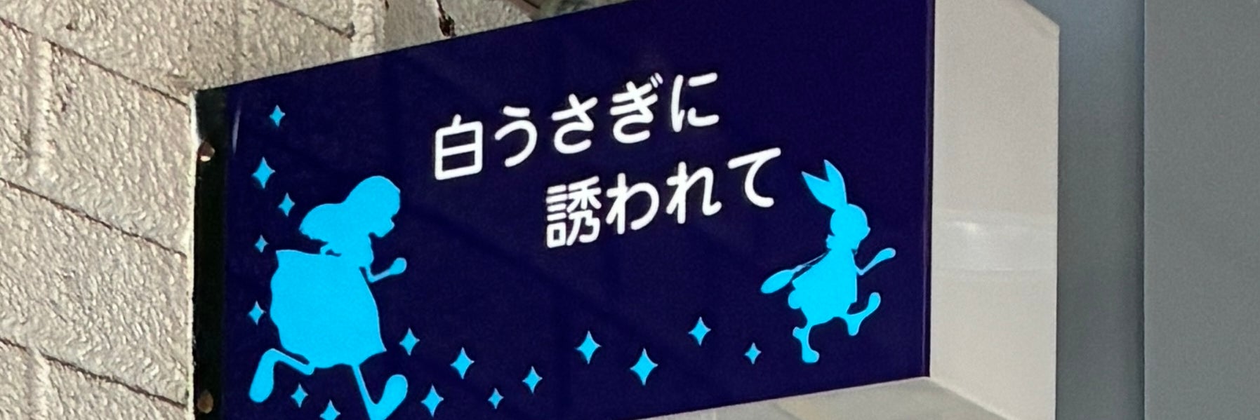 白うさぎに誘われて