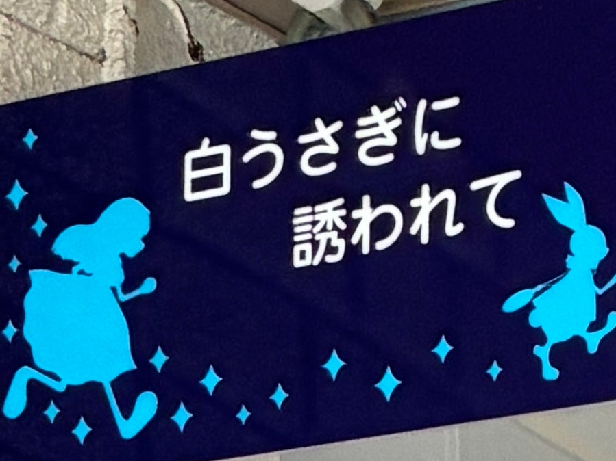白うさぎに誘われて_2枚目