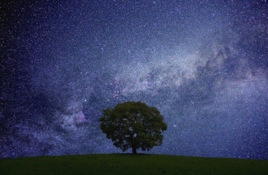 デリジエ観光の涼しさと天空の星々に逢いに　三泊四日の写真