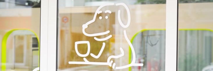 Everyday Dogs