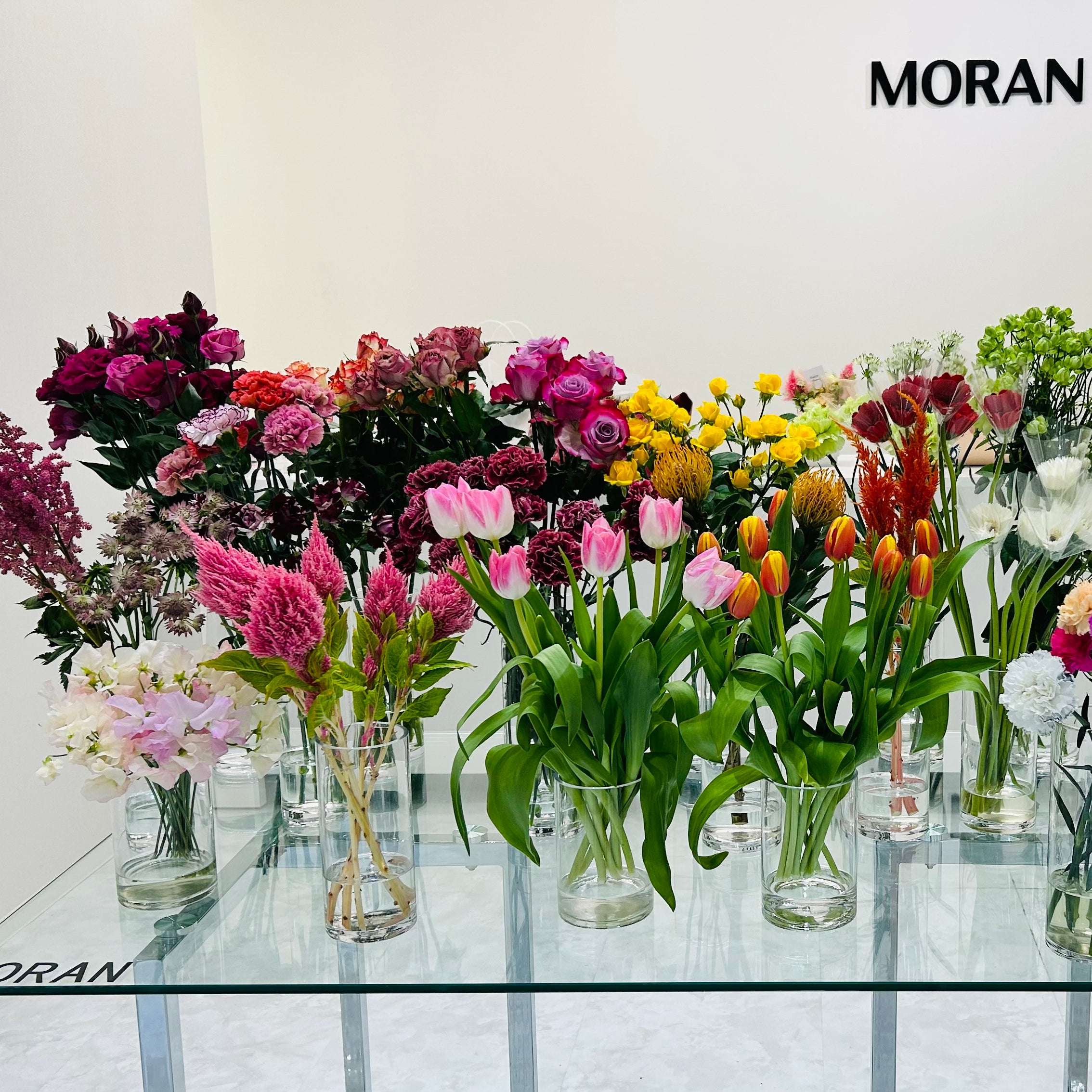 MORAN_2枚目