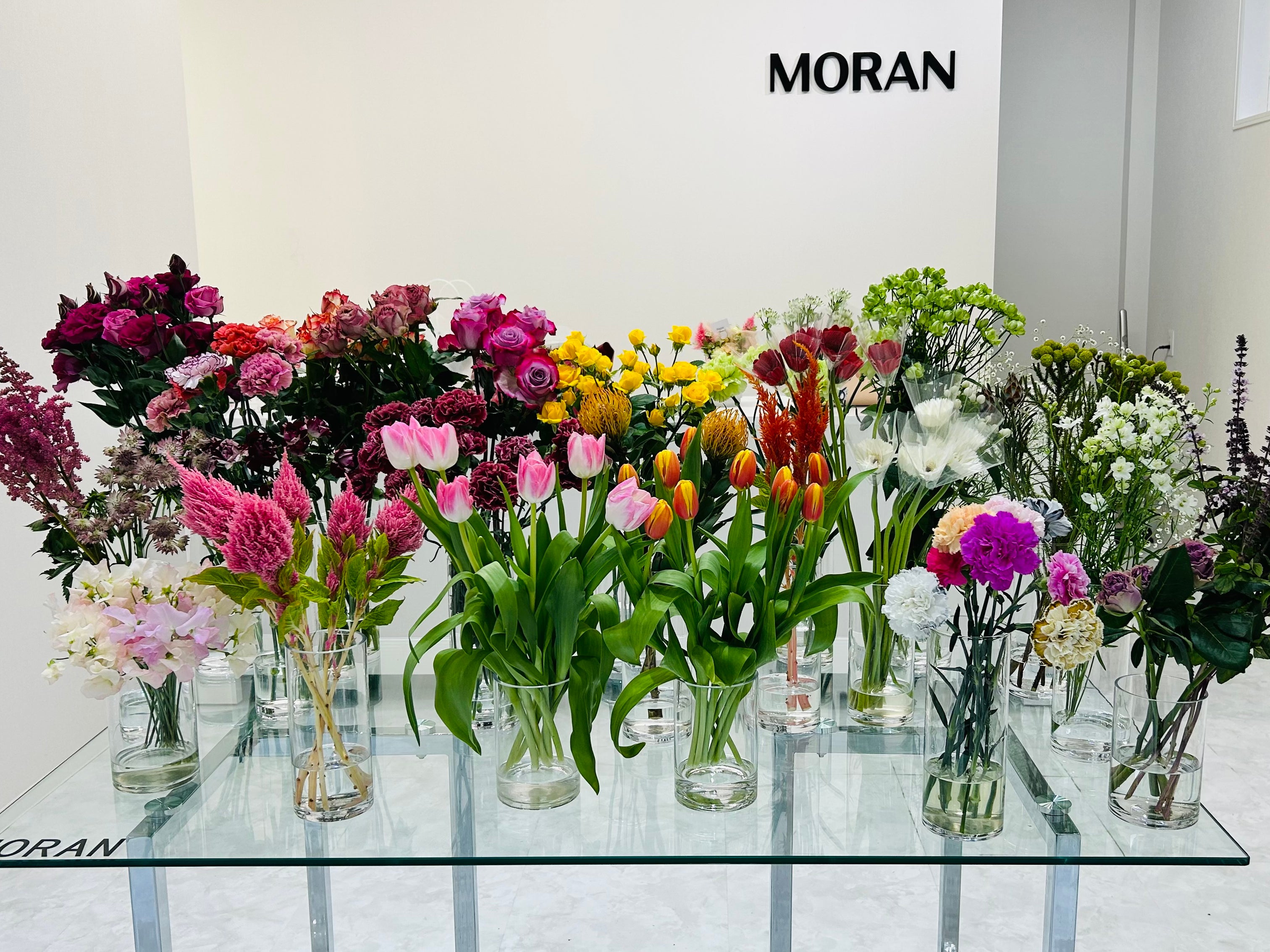 MORAN_3枚目