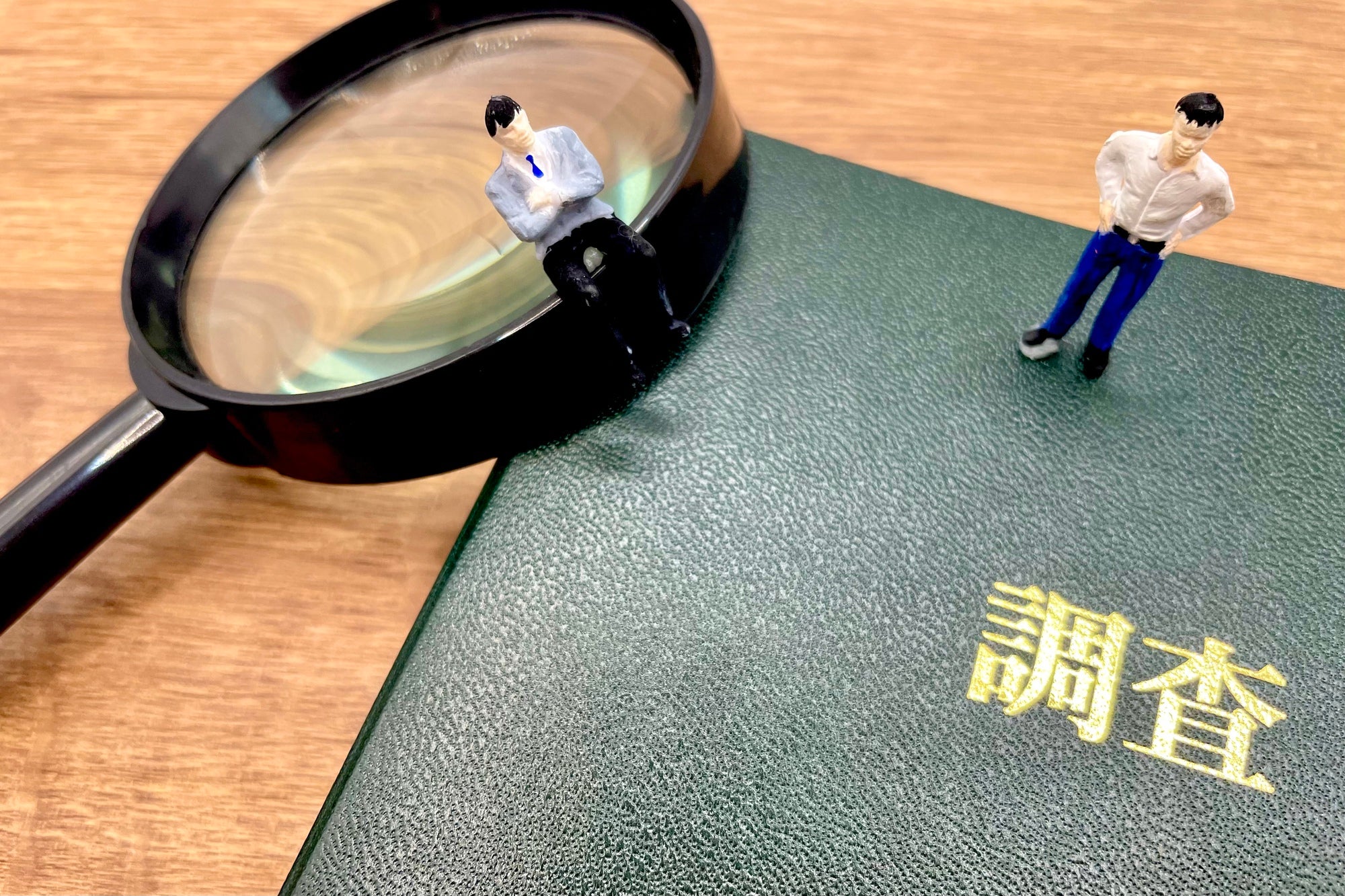 ≫≫　調査地域について　≪≪の写真