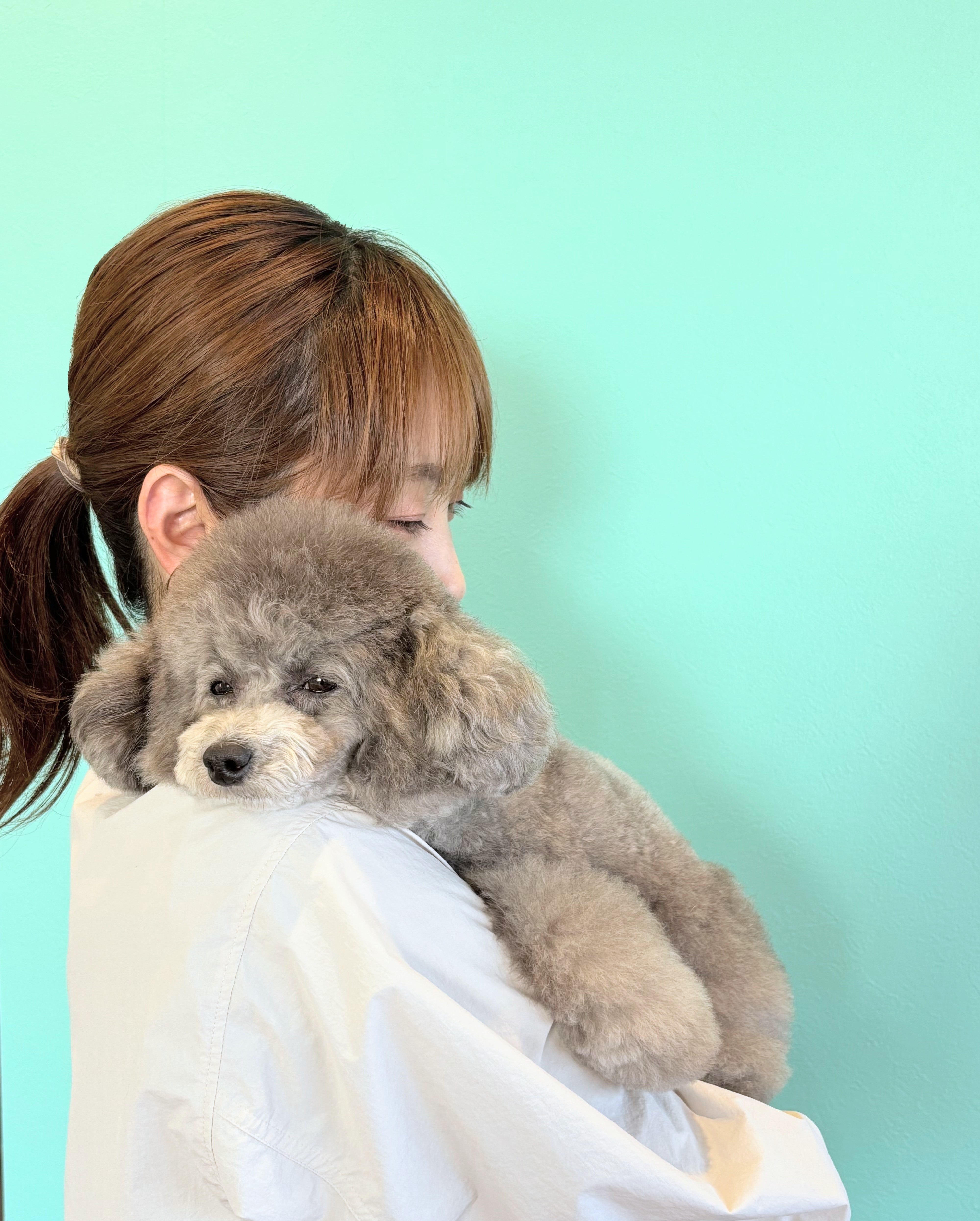 PERI.DOG SALON - 藤澤