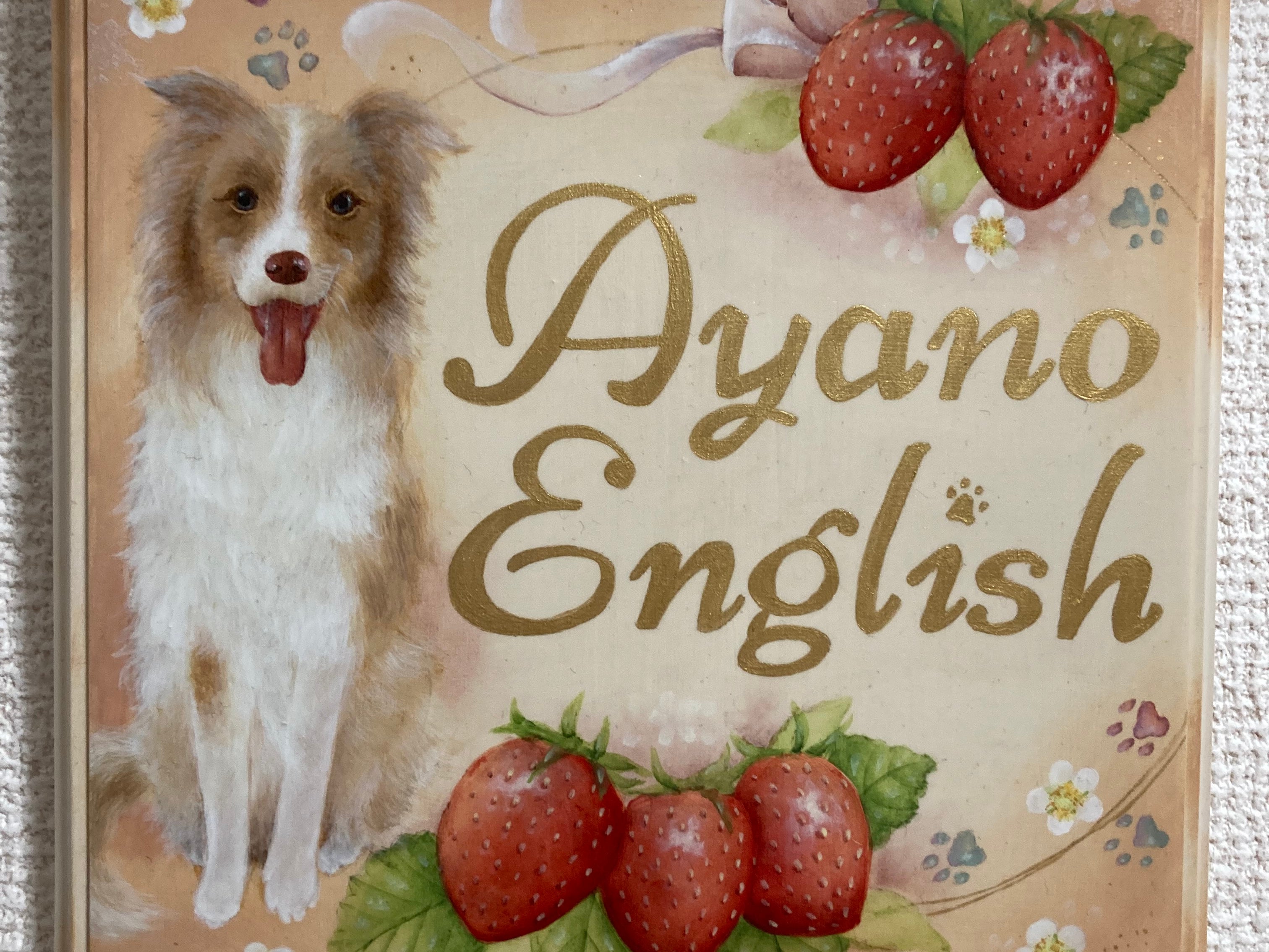 Ayano English_1枚目
