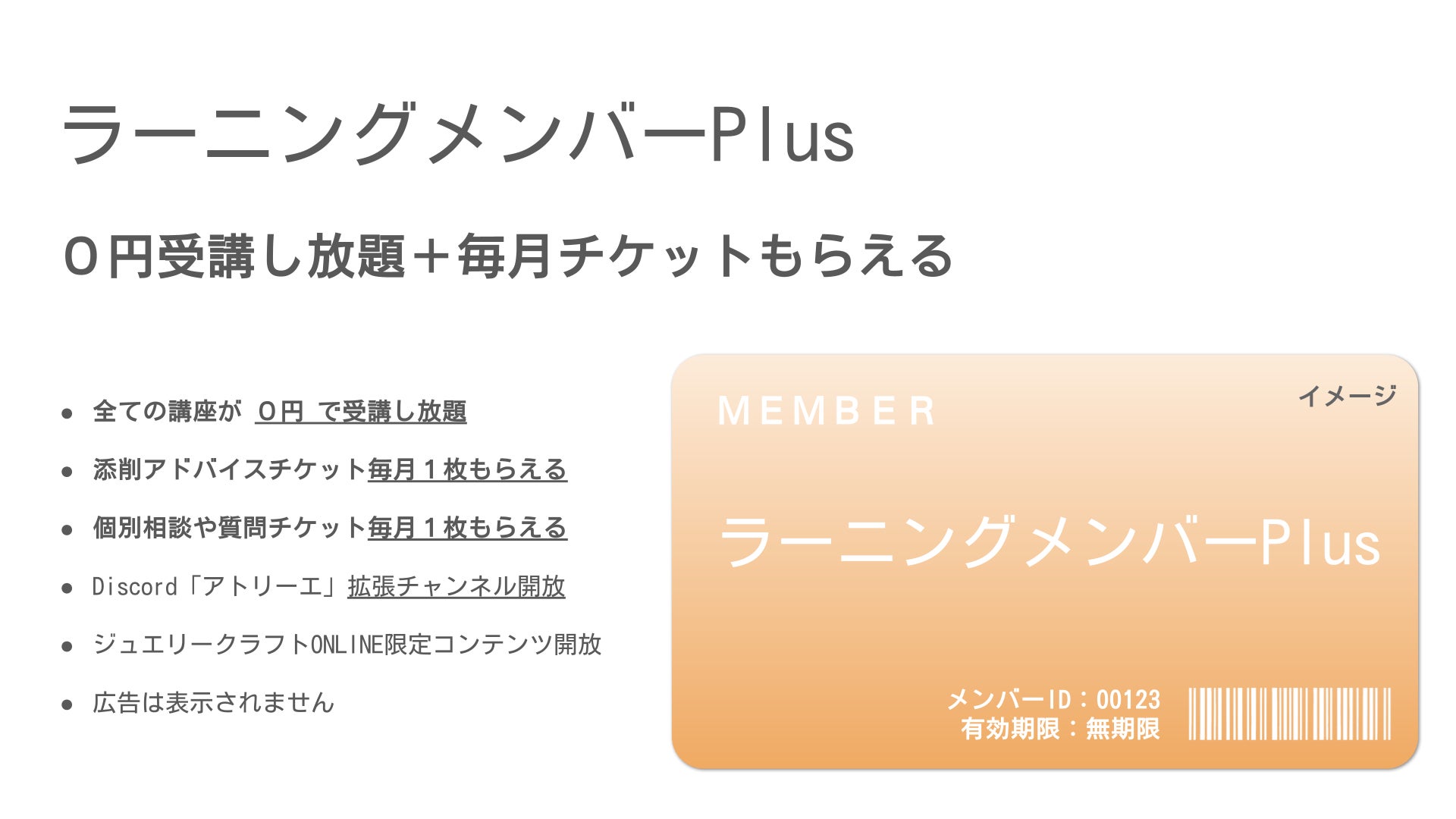 オンライン彫金教室のラーニングメンバーPlusプランの写真