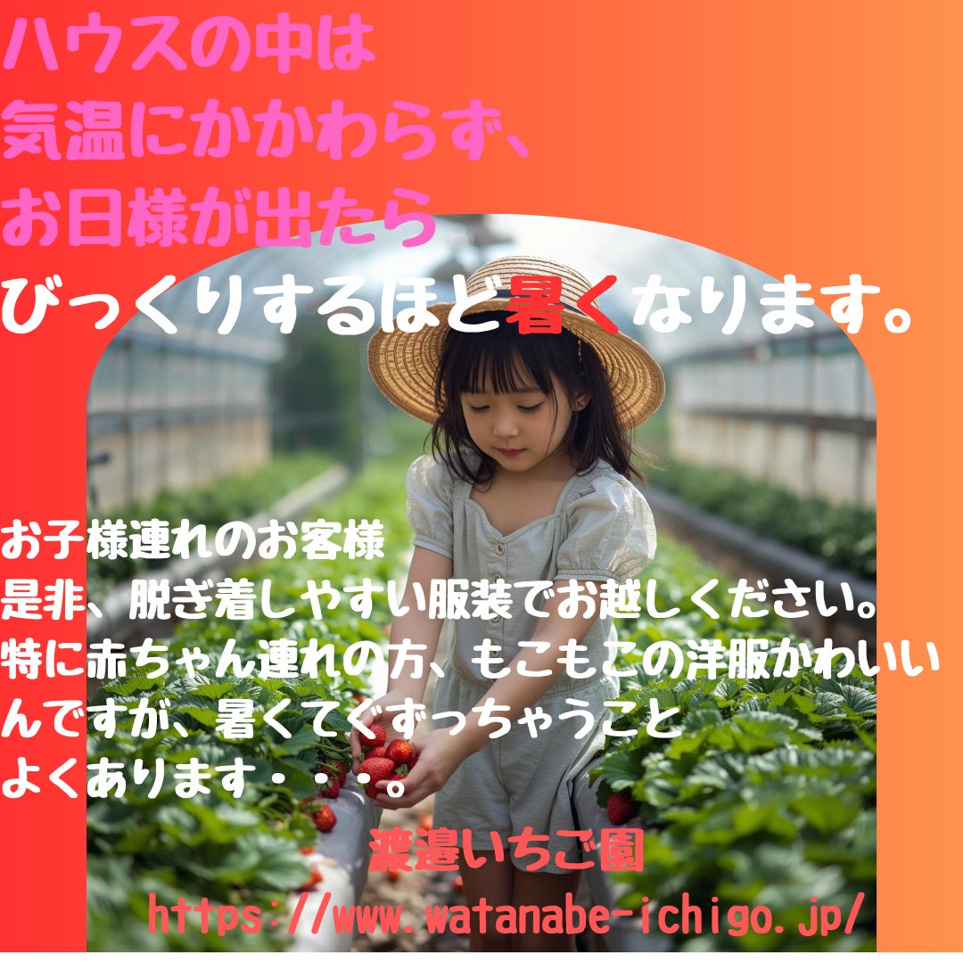 お日様が出ると暑いですの写真