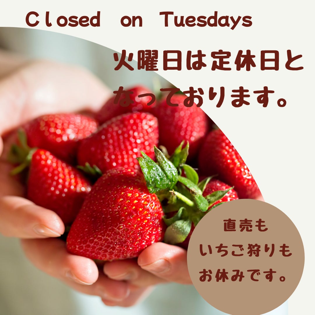 定休日のお知らせの写真