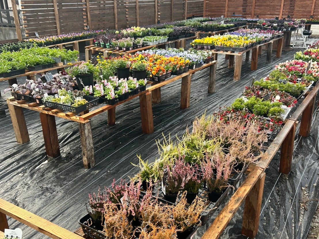 穂ノ花　株式会社_1枚目