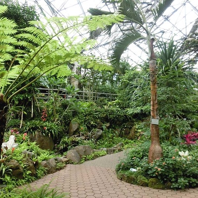 2018/04/06に市川市観賞植物園が投稿した、雰囲気の写真