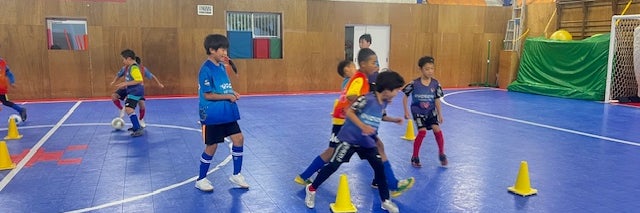 一般社団法人行徳スワローアカデミアクラブ