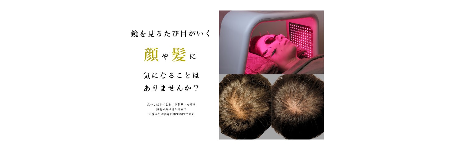 美容とカラダの鍼灸サロン やなけん 亀戸店