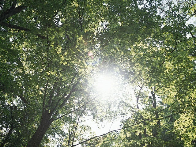 らくらく体操・ゆらリズムRekoaのはじめてゆらゆら体操の写真