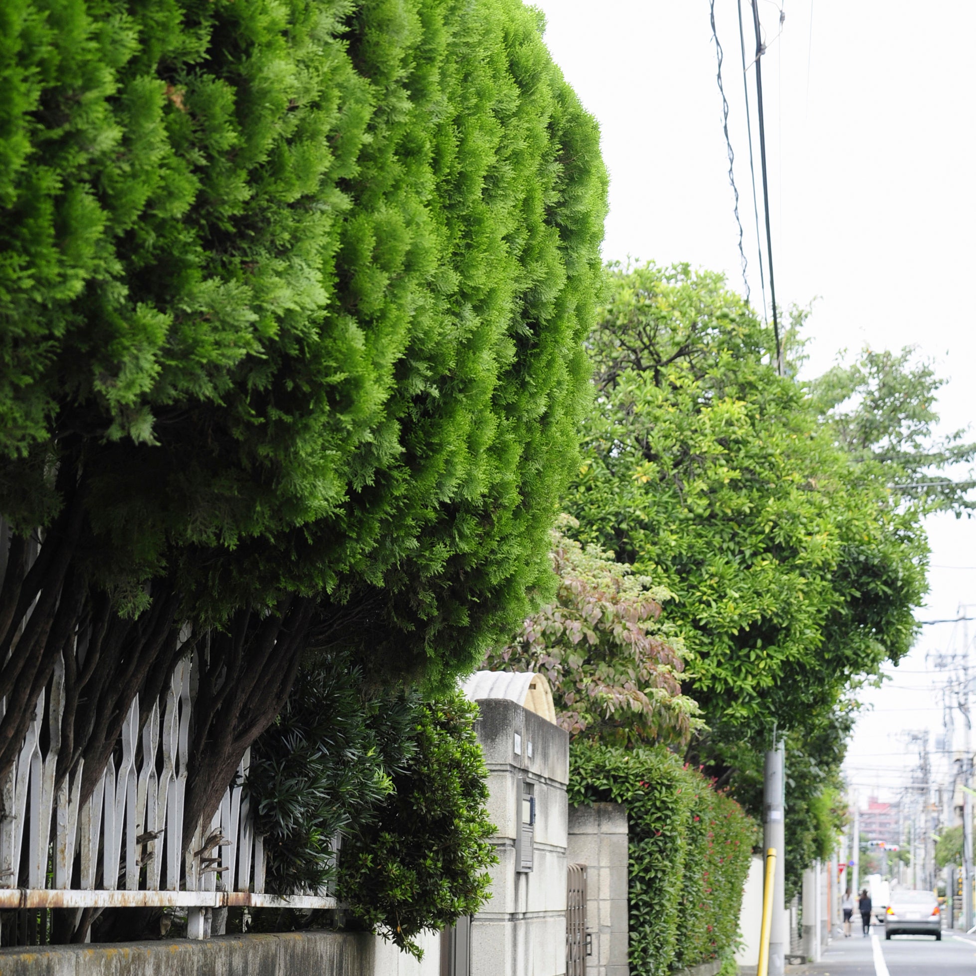 鈴木造園_3枚目