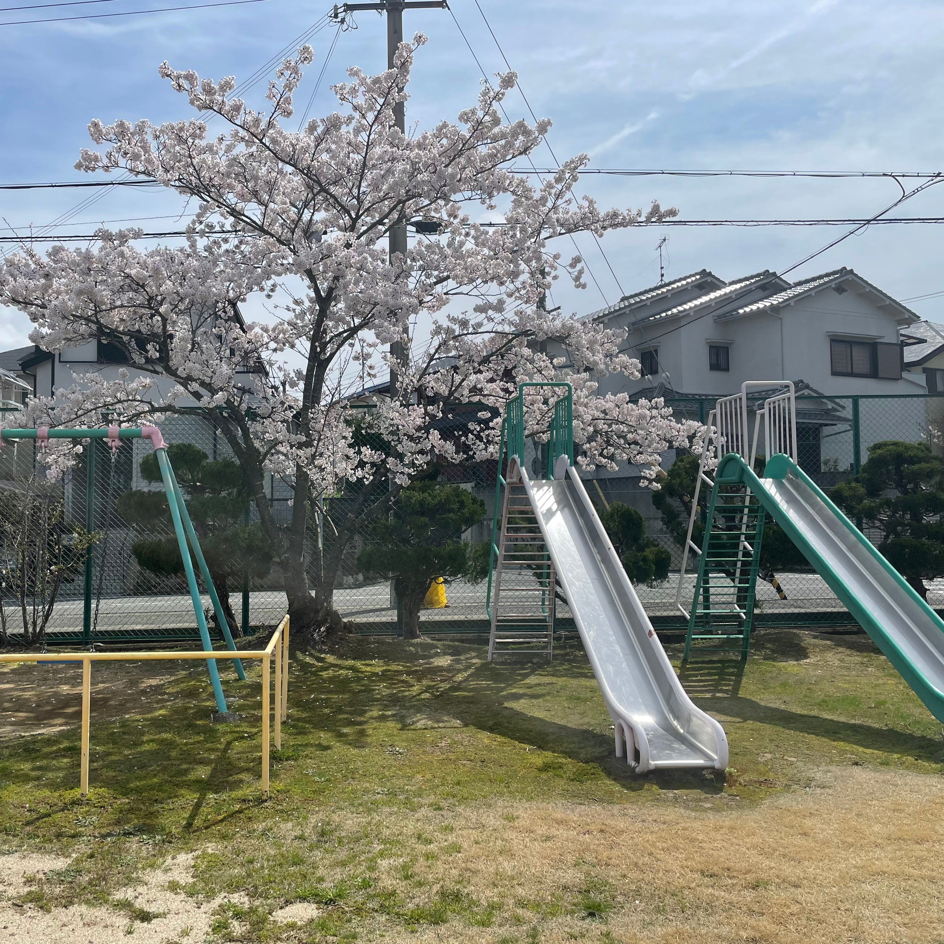 桜の宮サッカークラブ_2枚目