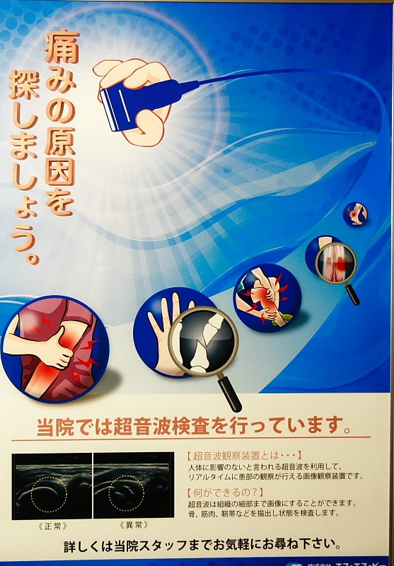 エコー検査の写真