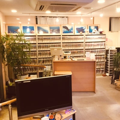 2018/02/24におおしま接骨院が投稿した、店内の様子の写真