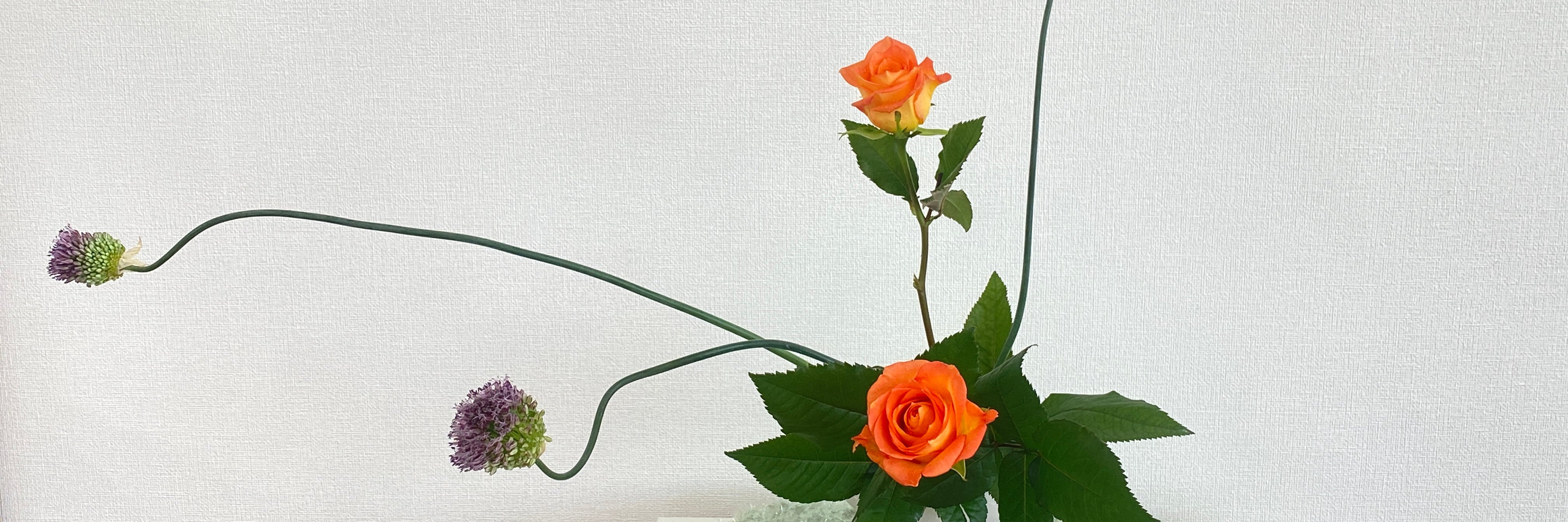 Yoga&PilatisStudio Bergamot 