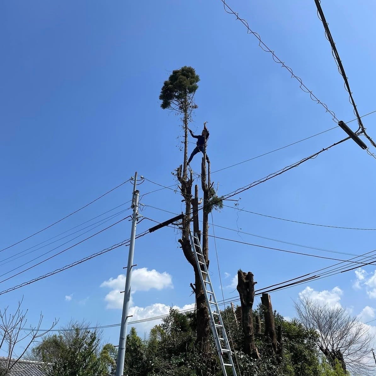 岡野造園_2枚目