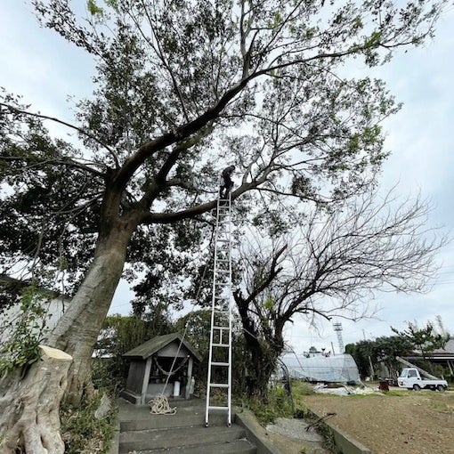 岡野造園_3枚目