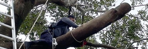 岡野造園_1枚目