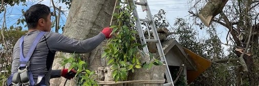 岡野造園_2枚目