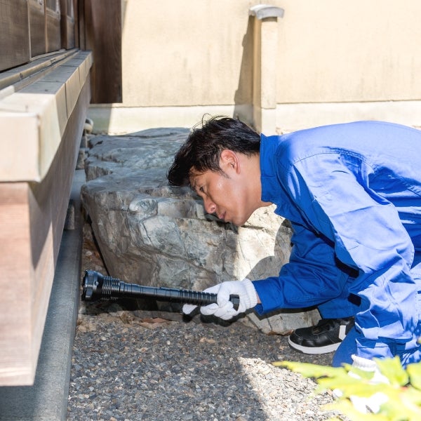害虫の生活救急車 いなべ市＜出張・訪問専門＞のその他の害虫の写真