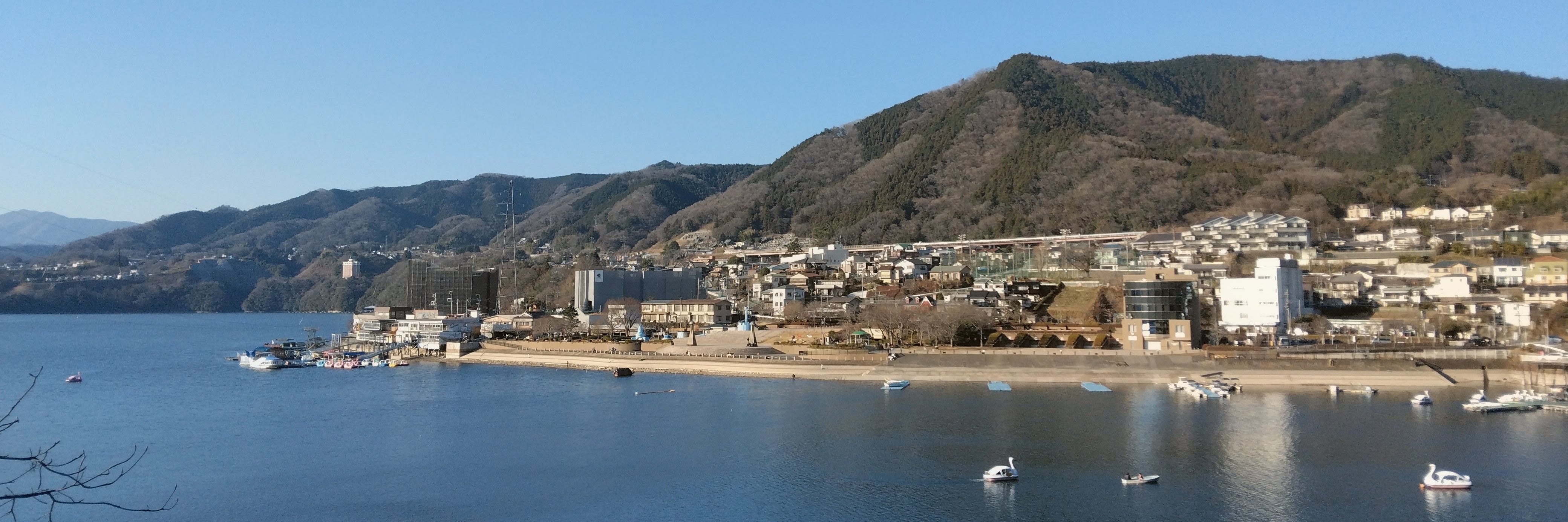 鍼灸療法安養院