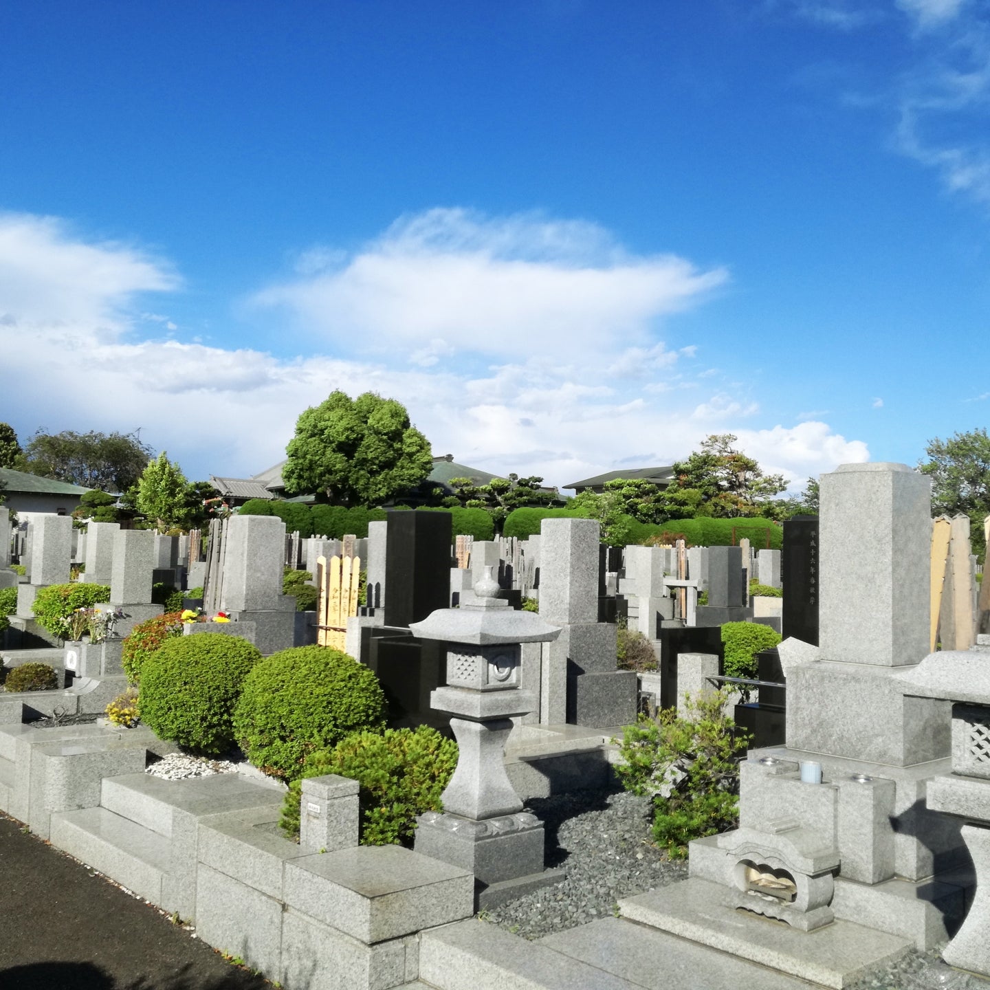横浜お墓参り代行トワリス_3枚目