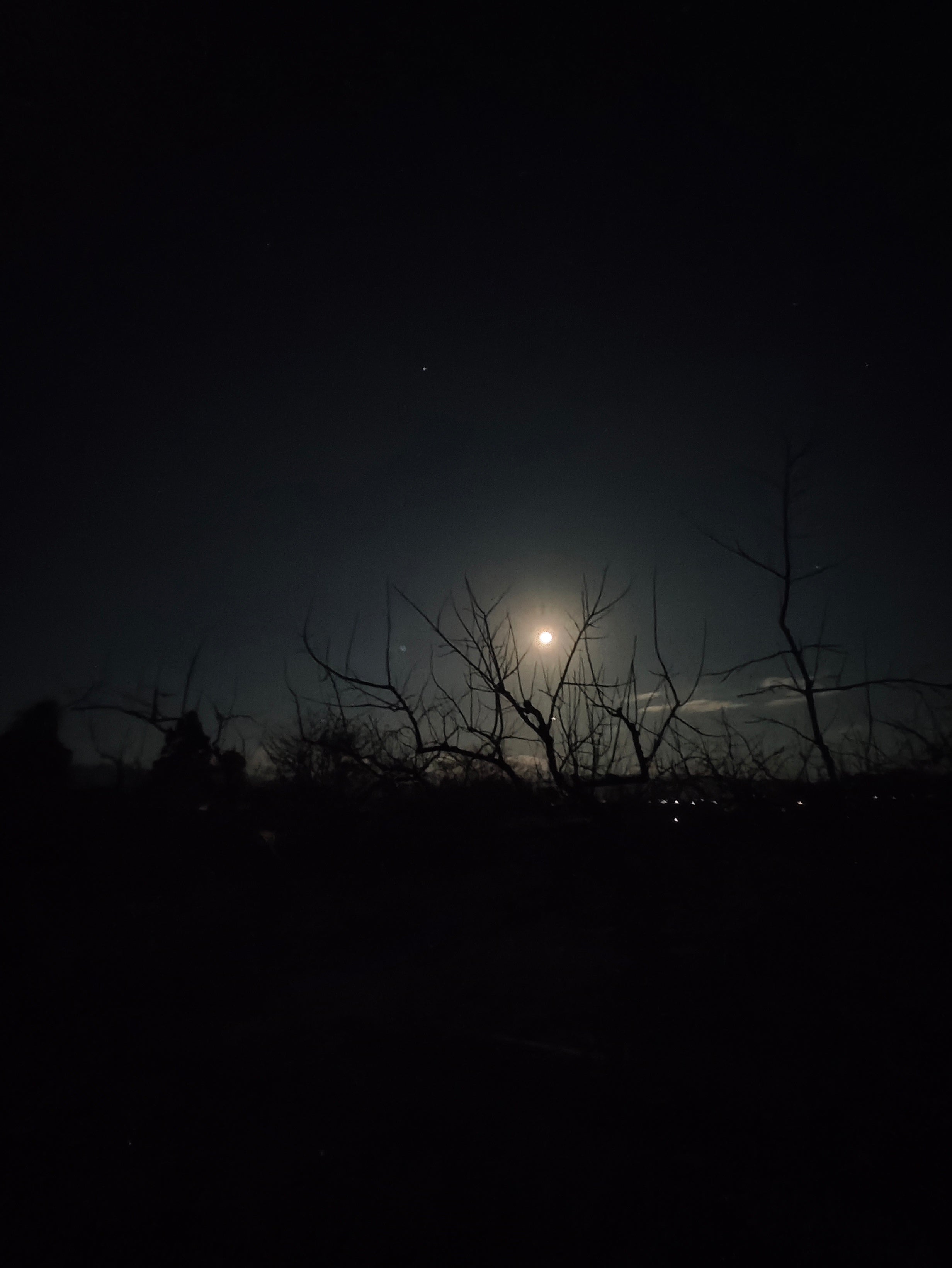 安らぎは求むるものに非ず 受け入れしときに還るものの写真