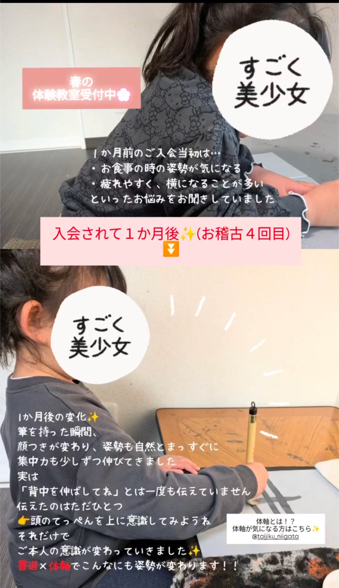 🌸春の体験教室受付中🌸の写真