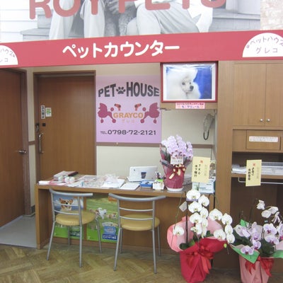 2012/04/07にペットハウス・グレコが投稿した、店内の様子の写真